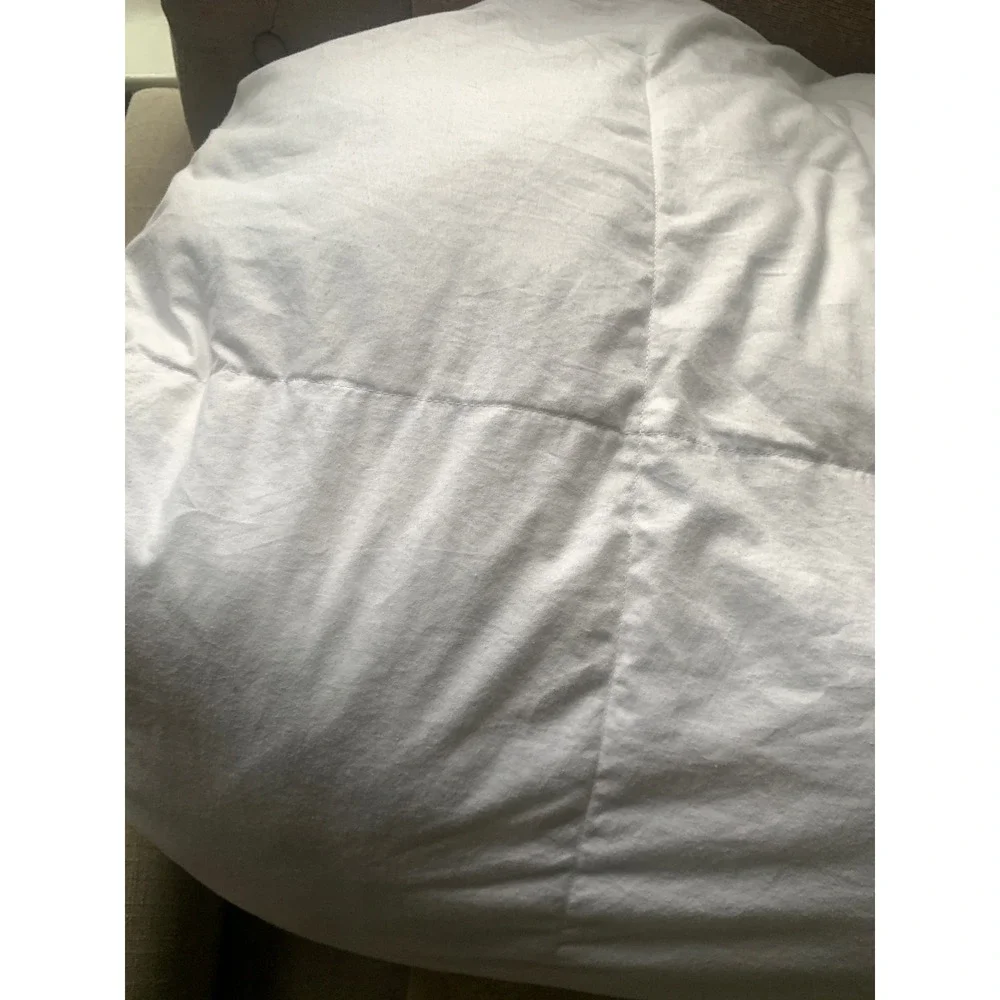 PBteen White Down Comforter Insert Box Stitch Bedding size full